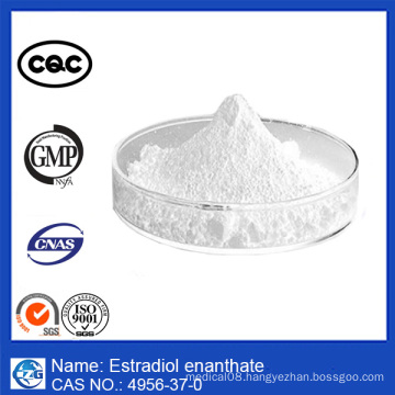 Estradiol Enanthate (CAS No.: 4956-37-0) (4956-37-0)